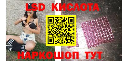 шишки Аргун