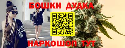 шишки Аргун
