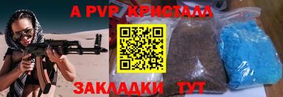 шишки Аргун