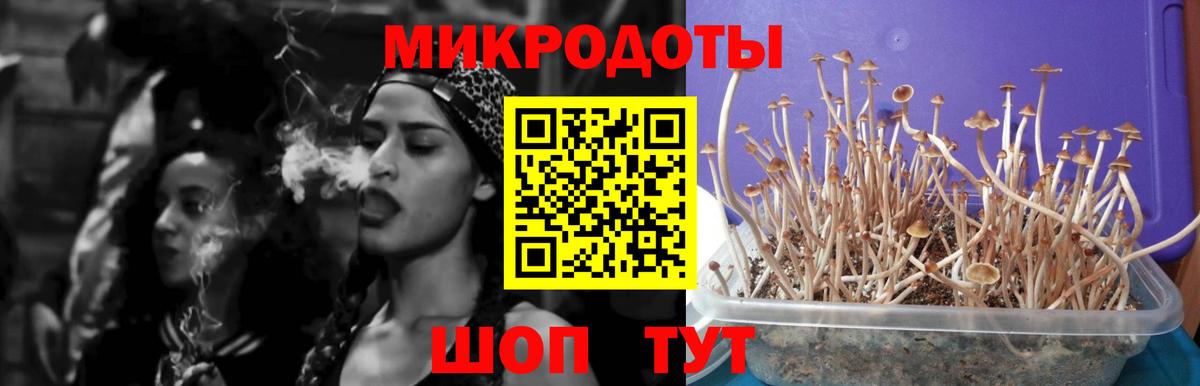 Псилоцибиновые грибы Cubensis Братск