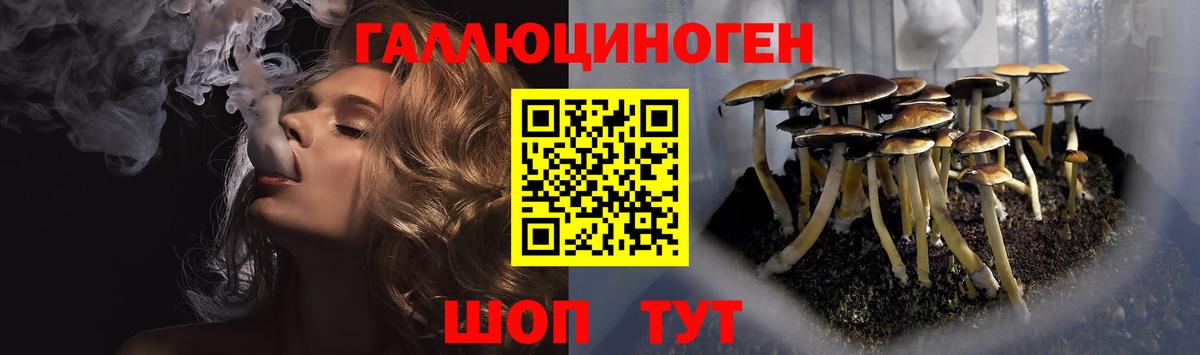 Псилоцибиновые грибы Psilocybine cubensis  Вход с VPN  Братск  Псилоцибиновые грибы Magic Shrooms 